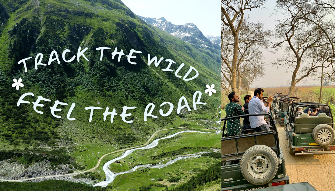 Gypsy jeep safari in Ranthambore forest trail